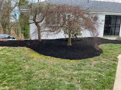 Mulching 5